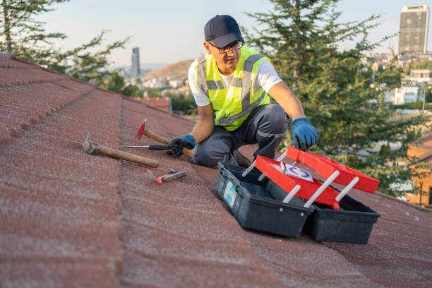Best Storm Damage Siding Repair  in Homerville, GA